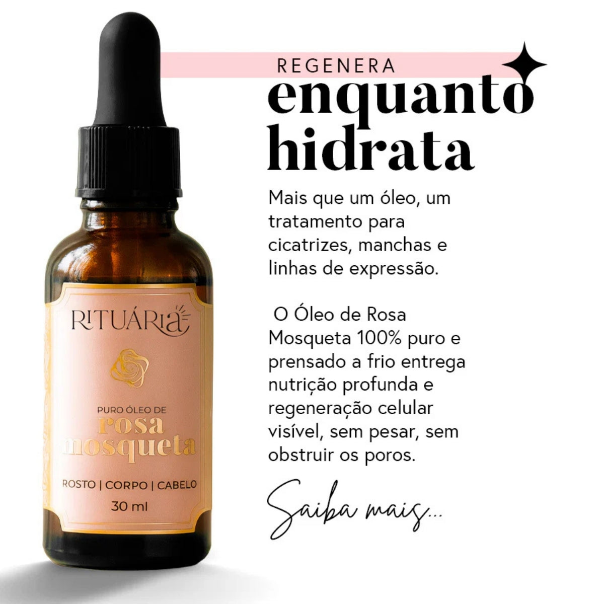 Kit Catálogo Completo